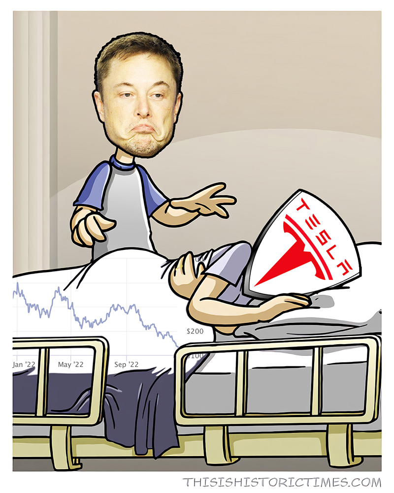 Final panel from the infamous "loss.jpg" comic, replacing Ethan with Elon Musk, Lilah with Tesla, Inc., and Lilah's baby with Tesla's stock.